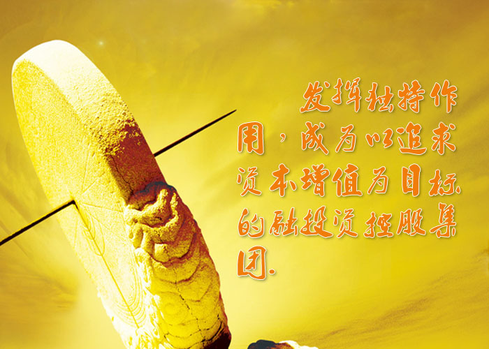 企业愿景.jpg